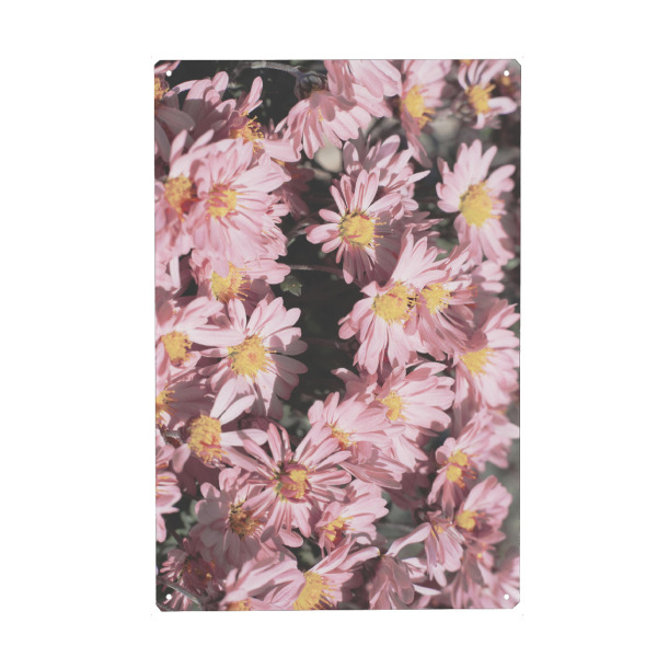 Holzbild "Kleines rosa Blumen" artboxONE - Natur,Floral,Liebe,Für Mama - Rosa blumen,Blumen,Blume,Natur