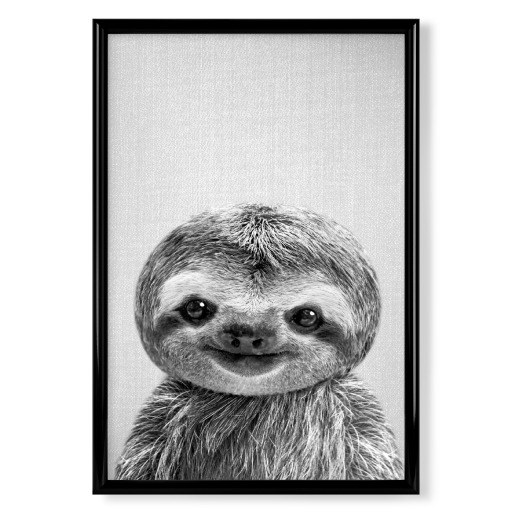 Baby Sloth - Black & White