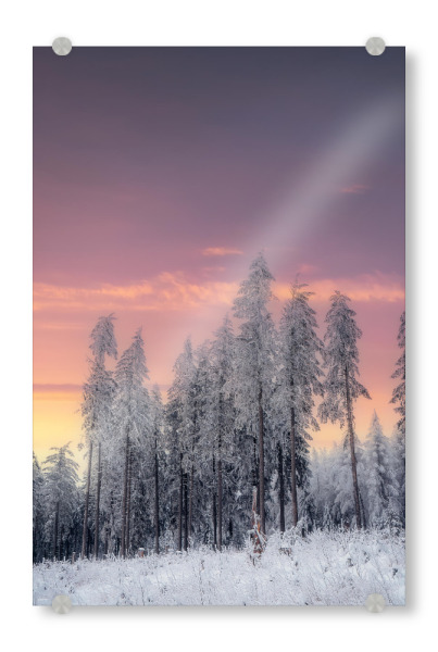 Acrylglasbild "Sonnenuntergang im Erzgebirge" artboxONE - Natur - Winter,Sonnnenaufgang,Schnee,Wald,Frost,Eis,Kalt,Bäume,Erzgebirge,Natur