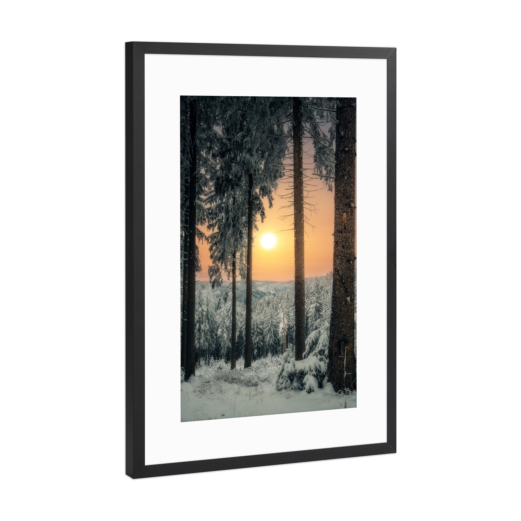 Poster mit Rahmen Schwarz (Metallic) "Morgensonne im Winterwald" artboxONE - Natur