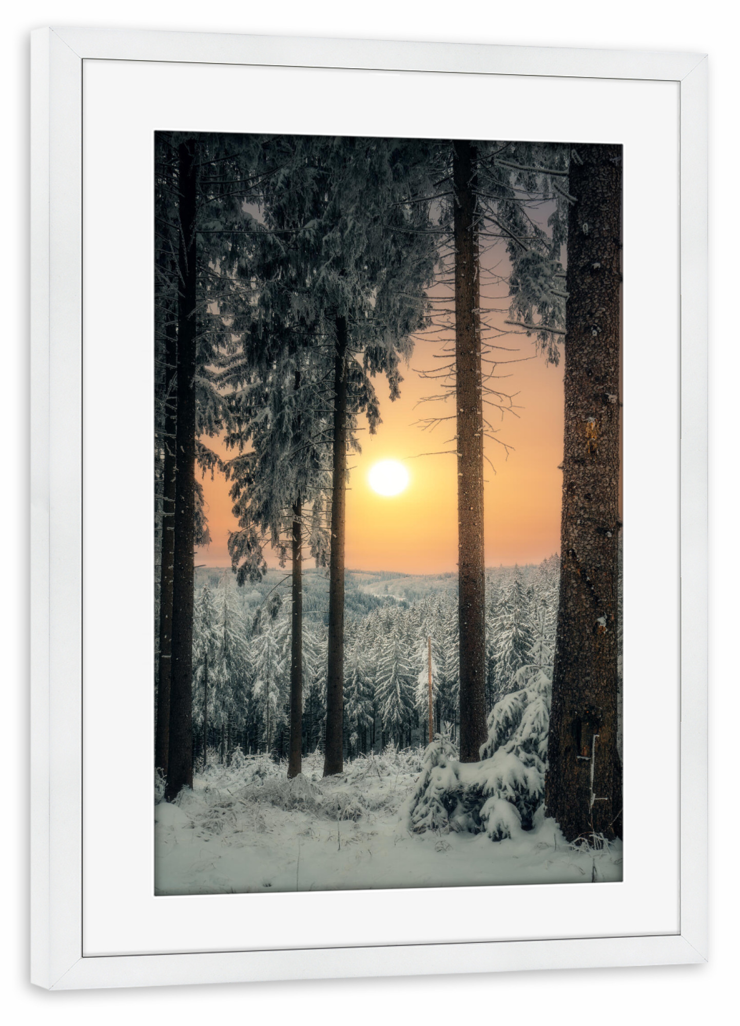 Poster mit Rahmen weiß "Morgensonne im Winterwald" artboxONE - Natur - Winter,Erzgebirge,Wald,Bäume,Schnee,Eis,Frost,Natur,Landschaft,Aussicht