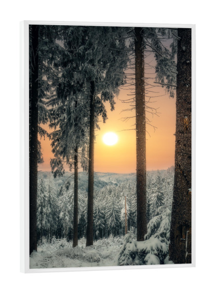 Poster mit weißem Rahmen "Morgensonne im Winterwald" artboxONE - Natur - Winter,Erzgebirge,Wald,Bäume,Schnee,Eis,Frost,Natur,Landschaft,Aussicht