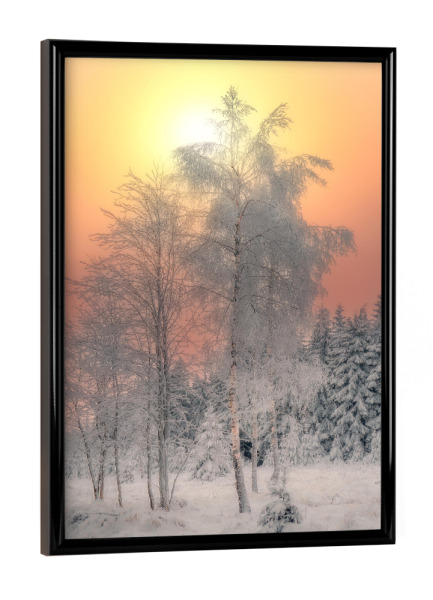 Poster mit schwarzem Rahmen "Winterglanz" artboxONE - Natur - Winter,Wald,Sonne,Eis,Frost,Kalt,Bäume,Natur,Landschaft,Wärme