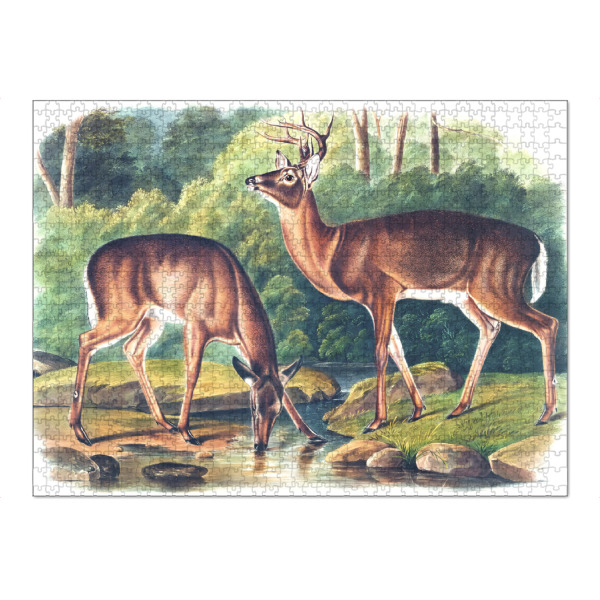 Puzzle Ravensburger "Virginian Hirsch" artboxONE - Natur,Für Kinder,Tiere,Für Mama,Für Papa