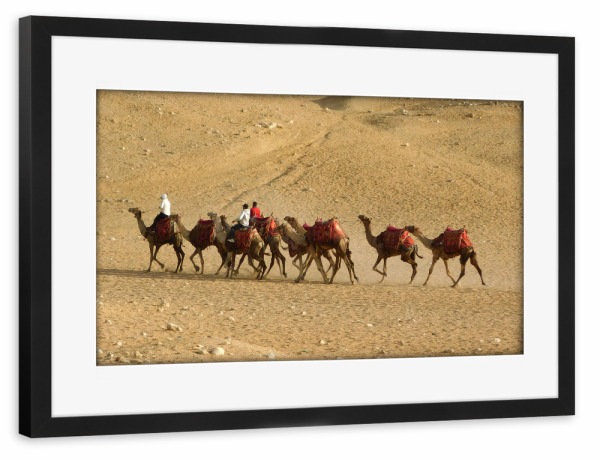 Poster mit Rahmen schwarz "Kamelkarawane" artboxONE - Reise,Tiere,Reise / Afrika,Reise / Länder