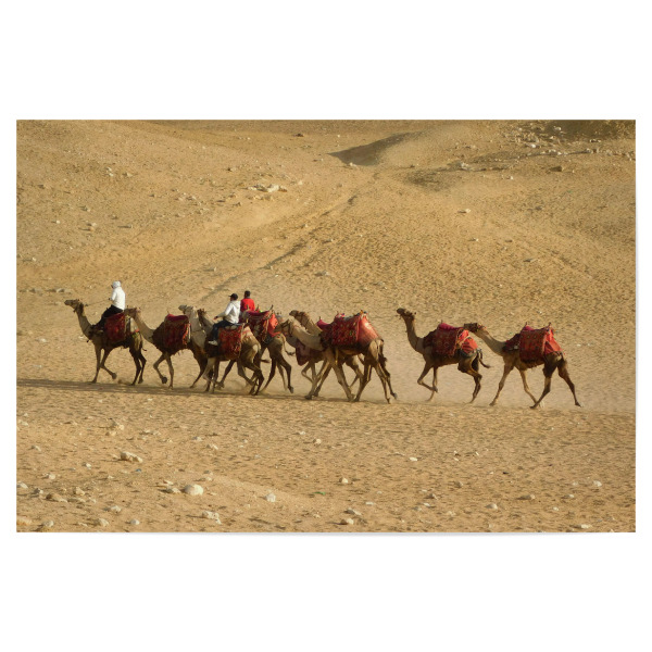 Poster "Kamelkarawane" artboxONE - Reise,Tiere,Reise / Afrika,Reise / Länder