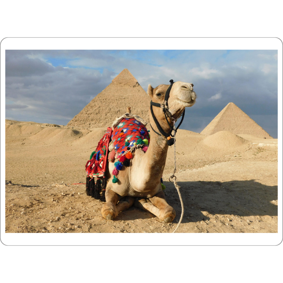 Tischset "Kamel an den Pyramiden" artboxONE - Reise,Tiere,Reise / Afrika,Reise / Länder