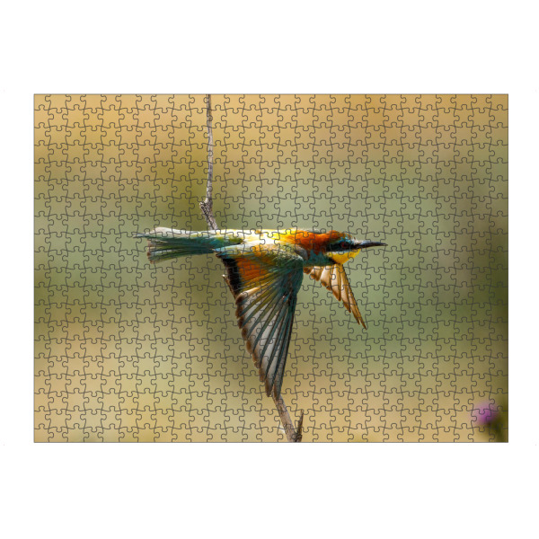 artboxONE Puzzle "Bunte Bienenfresser" artboxONE - Natur,Tiere - Bienenfresser,Vogel,Wildlife,Bunter vogel,Flug,Fliegen,Federn