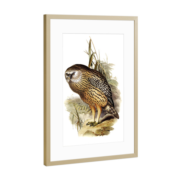 Poster mit Rahmen Gold "Wekau" artboxONE - Natur,Für Kinder,Tiere,Für Mama,Für Papa