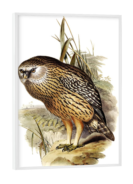 Poster mit weißem Rahmen "Wekau" artboxONE - Natur,Für Kinder,Tiere,Für Mama,Für Papa