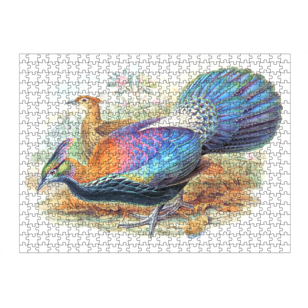 Puzzle Ravensburger "Lophophorus L'Huysi" artboxONE - Natur,Für Kinder,Tiere,Für Mama,Für Papa