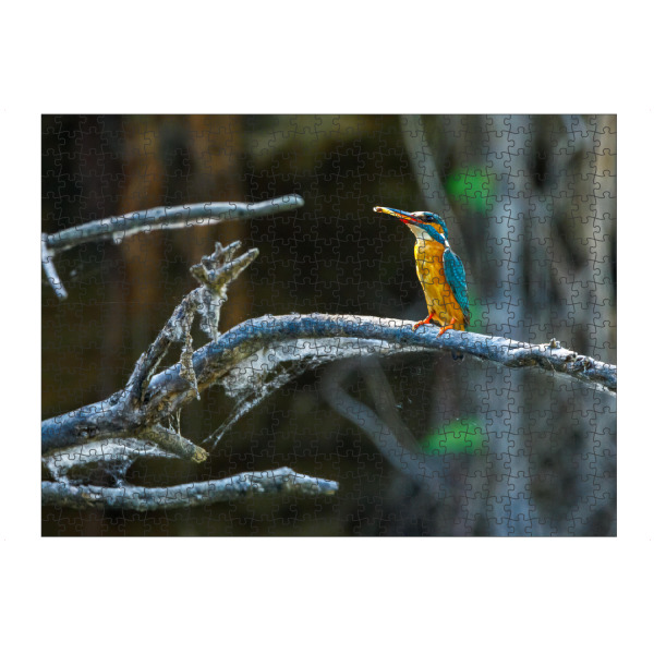 Puzzle Ravensburger "Eisvogel beim Fischfang" artboxONE - Natur,Tiere - Eisvogel,Wildlife,Vogel,Natur,Tier,Fischer - Bild eisvogel