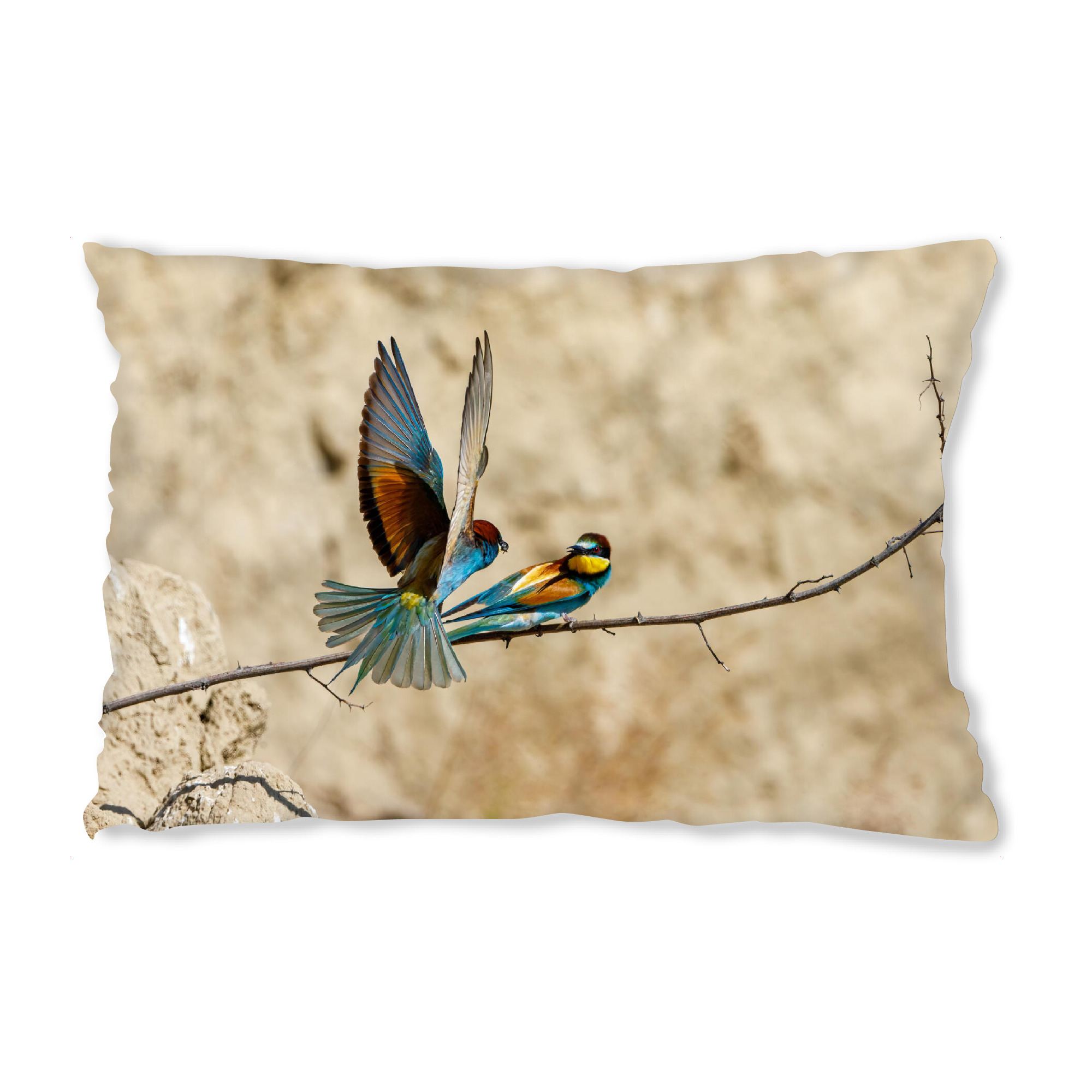 Design-Kissen "Die Bienenfresser" artboxONE - Natur,Tiere - Bienenfresser,Vogel,Wildlife,Bunter vogel,Flug,Fliegen,Federn - Bild bienenfresser