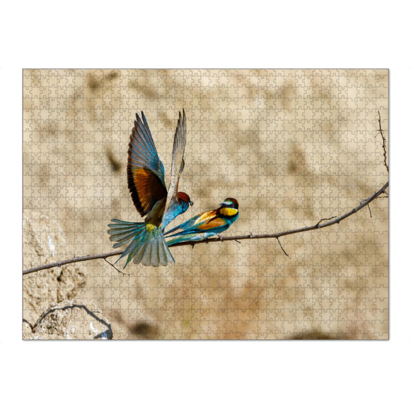 Puzzle Ravensburger "Die Bienenfresser" artboxONE - Natur,Tiere - Bienenfresser,Vogel,Wildlife,Bunter vogel,Flug,Fliegen,Federn - Bild bienenfresser