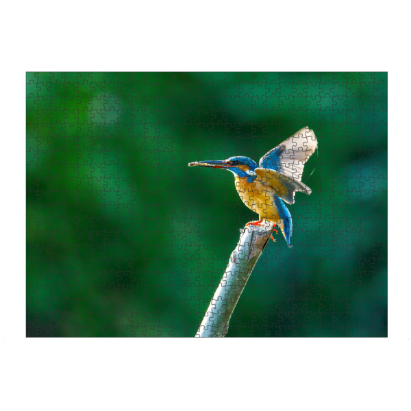 artboxONE Puzzle "Der Eisvogel beim Fischfang" artboxONE - Natur,Tiere - Eisvogel,Wildlife,Vogel,Natur,Tier,Fischer - Bild eisvogel