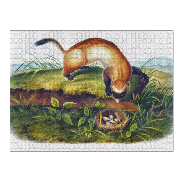Puzzle Ravensburger "Schwarzfüßiges Frettchen" artboxONE - Natur,Für Kinder,Tiere,Für Mama,Für Papa