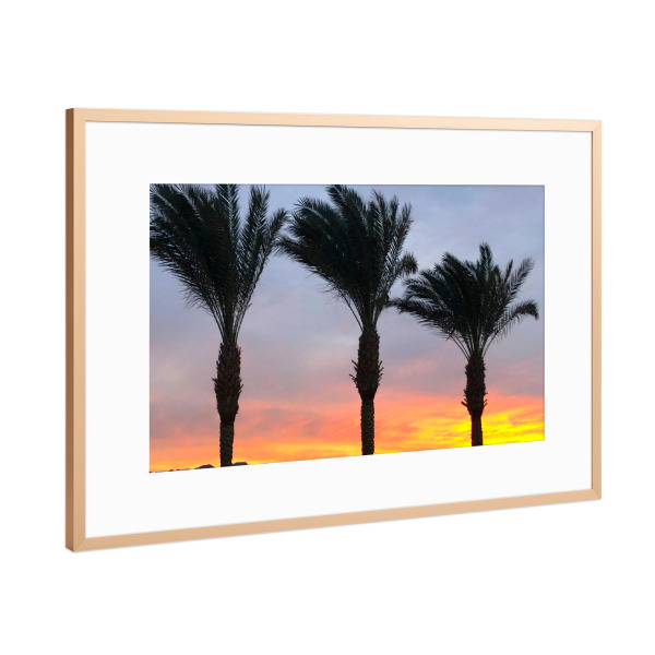 Poster mit Rahmen Kupfer "Drei Palmen bei Sonnenuntergang" artboxONE - Reise,Reise / Strand und Meer,Reise / Afrika,Reise / Länder