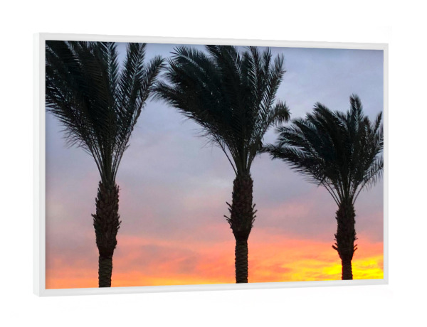 Poster mit weißem Rahmen "Drei Palmen bei Sonnenuntergang" artboxONE - Reise,Reise / Strand und Meer,Reise / Afrika,Reise / Länder