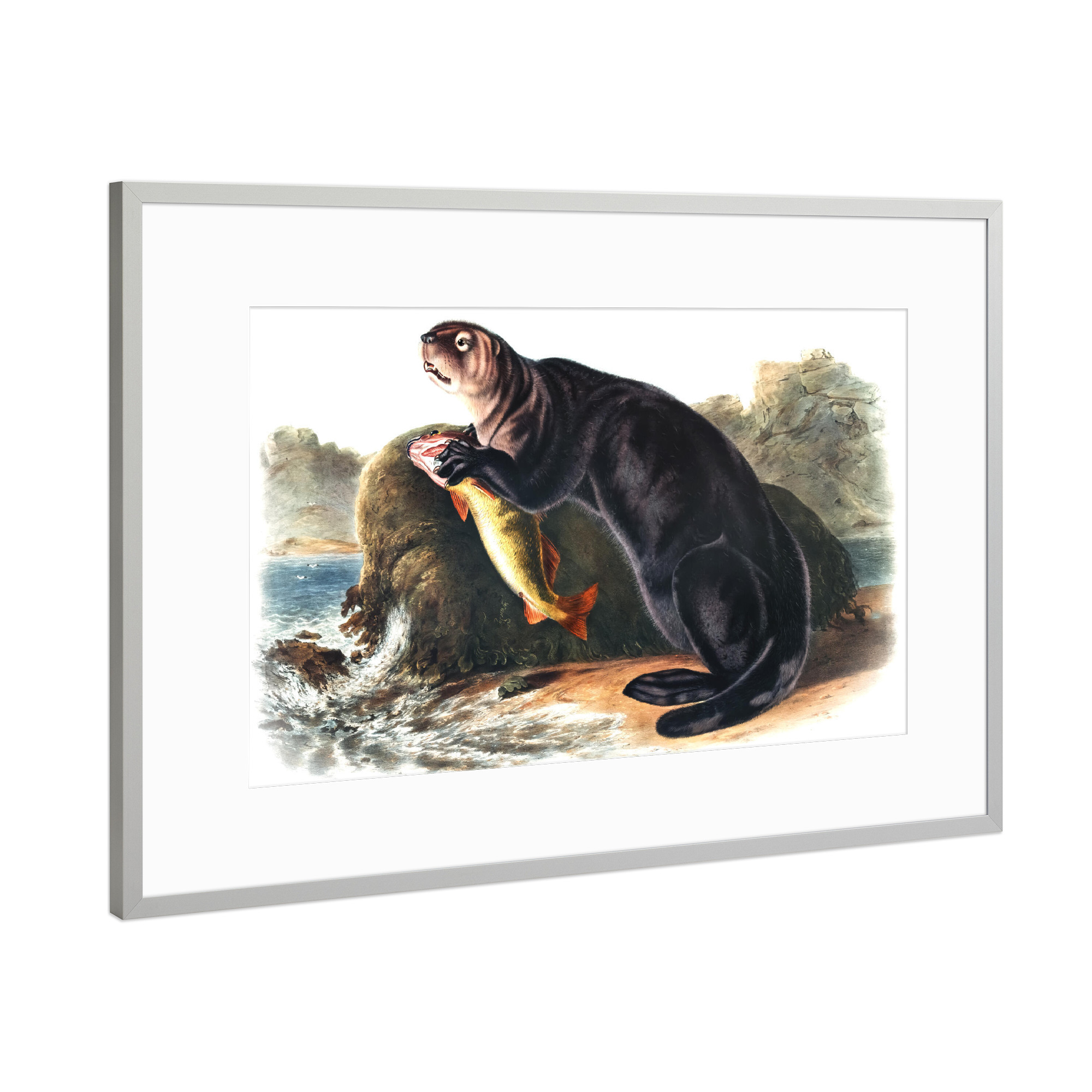 Poster mit Rahmen Silber "Seeotter-Illustration" artboxONE - Natur,Für Kinder,Tiere,Für Mama,Für Papa