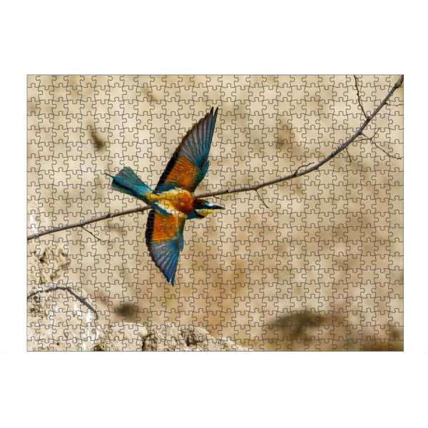 Puzzle Ravensburger "Bunte Bienenfresser im Flug" artboxONE - Natur,Tiere - Bienenfresser,Vogel,Wildlife,Bunter vogel,Flug,Fliegen,Federn