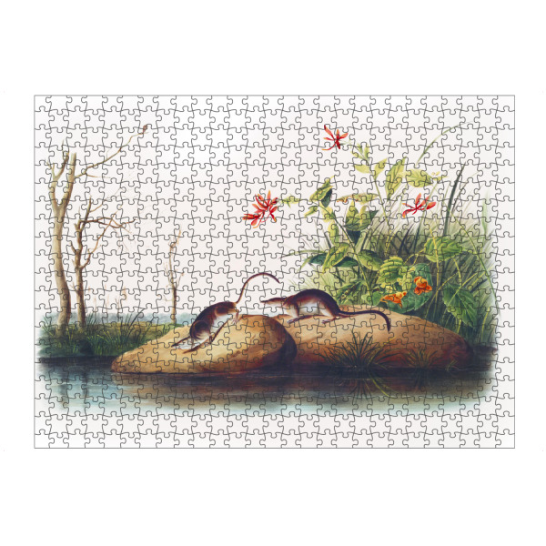 Puzzle Ravensburger "Amerikanische Sumpfspitzmaus" artboxONE - Natur,Für Kinder,Tiere,Für Mama,Für Papa
