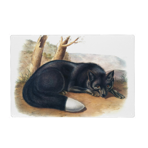 Holzbild "Silber Fuchs" artboxONE - Natur,Für Kinder,Tiere,Für Mama,Für Papa
