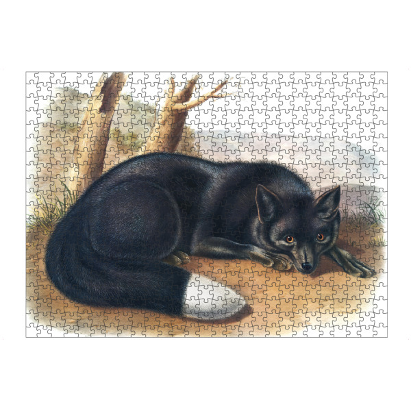 Puzzle Ravensburger "Silber Fuchs" artboxONE - Natur,Für Kinder,Tiere,Für Mama,Für Papa