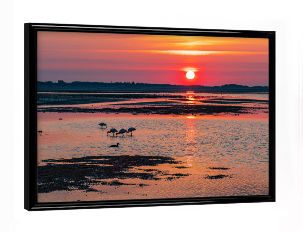 Poster mit schwarzem Rahmen "Wattenmeer, Sonnenaufgang" artboxONE - Natur,Reise,Reise / Strand und Meer