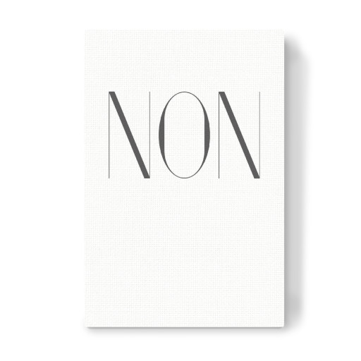 NON-Schriftzug