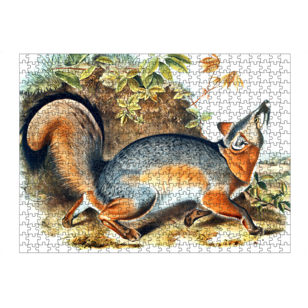 Puzzle Ravensburger "Grauer Fuchs" artboxONE - Natur,Für Kinder,Tiere,Für Mama,Für Papa