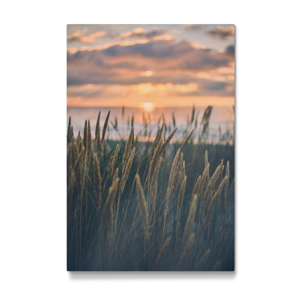 Galerie-Print "Der Abend in den Dünen" 30x20 cm artboxONE
