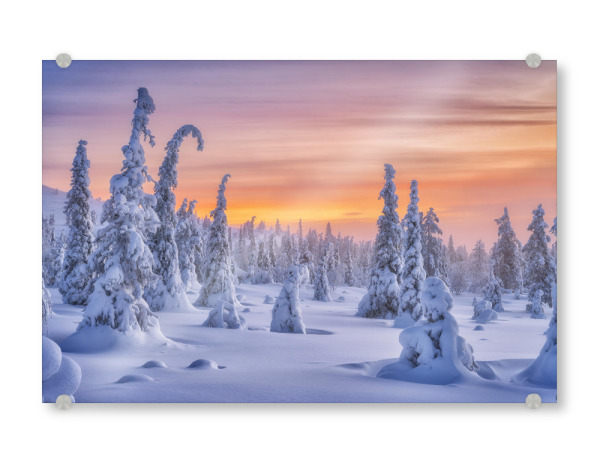 Acrylglasbild "Farben des Winters" artboxONE - Natur,Reise - Finnland,Lappland,Winter,Skandinavien,Schnee,Landschaft,Natur,Sonnenaufgang,Bäume,Kalt