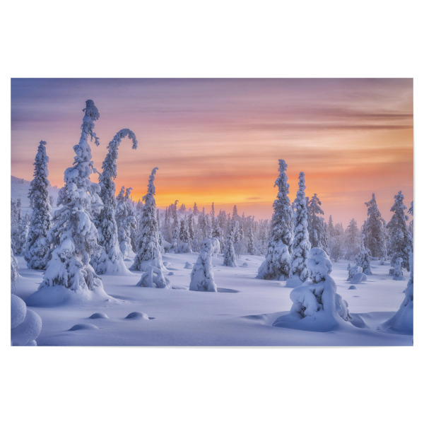 Poster 30x20 cm "Farben des Winters" artboxONE - Natur,Reise - Finnland,Lappland,Winter,Skandinavien,Schnee,Landschaft,Natur,Sonnenaufgang,Bäume,Kalt