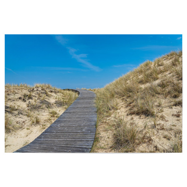 Poster "Düne, Bohlenweg, Himmel" artboxONE - Natur,Reise