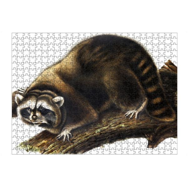Puzzle Ravensburger "Procyon Lotor" artboxONE - Natur,Für Kinder,Tiere,Für Mama,Für Papa