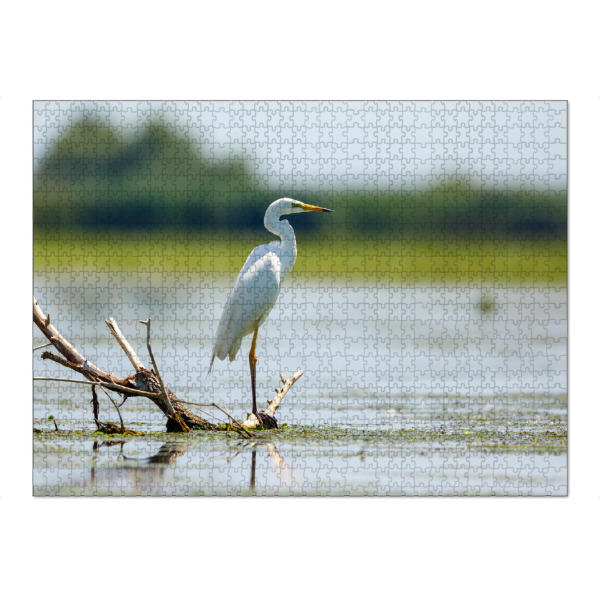 Puzzle Ravensburger "Silberreiher" artboxONE - Natur,Tiere - Reiher,Silberreiher,Wildlife,Vogel,Wildnis,Donaudelta,Sumpf - Bild reiher