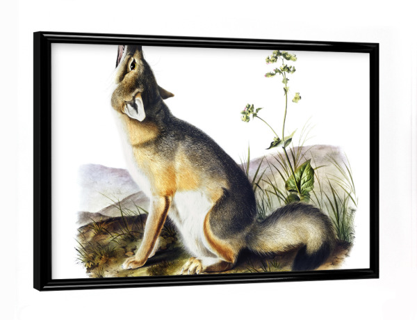 Poster mit schwarzem Rahmen "Schneller Fuchs" artboxONE - Natur,Für Kinder,Tiere,Für Mama,Für Papa