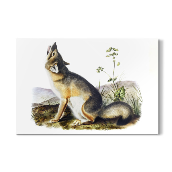 Galerie-Print "Schneller Fuchs" 30x20 cm artboxONE