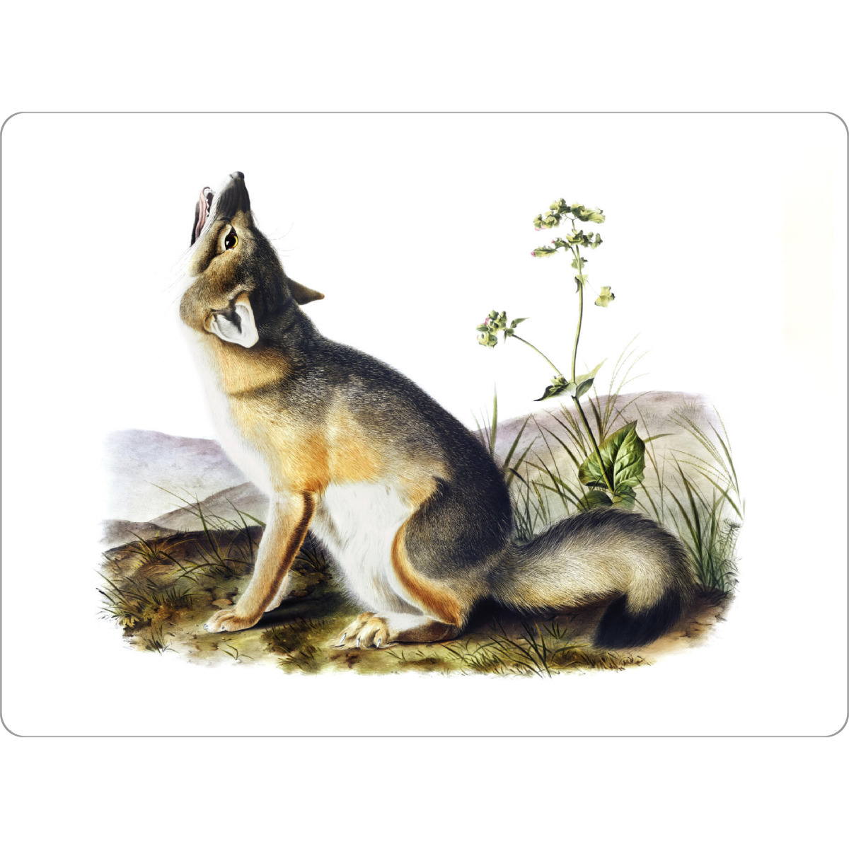 Tischset "Schneller Fuchs" artboxONE - Natur,Für Kinder,Tiere,Für Mama,Für Papa