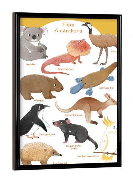 Poster mit schwarzem Rahmen "Tiere Australiens" artboxONE - Natur,Für Kinder,Tiere