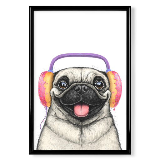 Pug with headphones