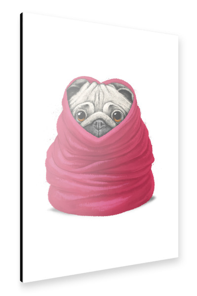 Alu-Dibond "Mops in eine warme Decke" 30x20 cm artboxONE
