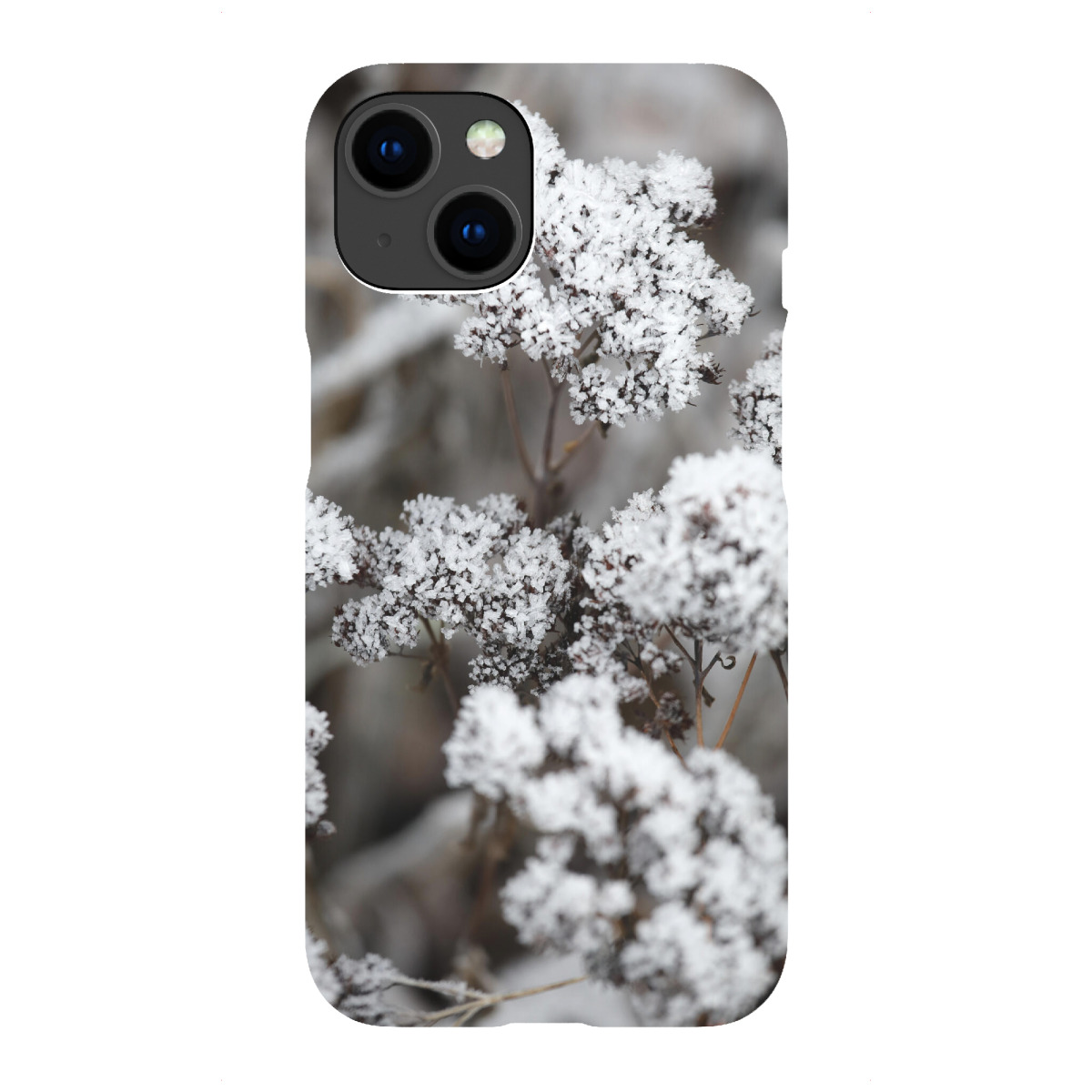 "Blume mit Schnee im Winter"für iPhone - Premium-Case Handyhülle artboxONE