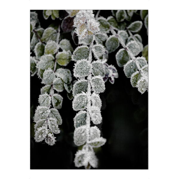 Puzzle Ravensburger "Blätter mit Raureif im Winter" artboxONE - Natur,Floral