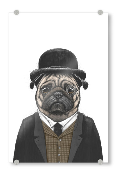 Acrylglasbild "Herr Mops" artboxONE - Tiere,Für Papa