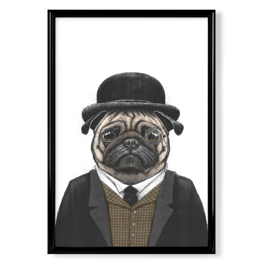 Sir pug