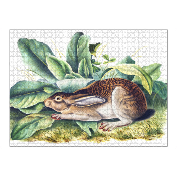 Puzzle Ravensburger "Schwarzschwanzhase" artboxONE - Natur,Für Kinder,Tiere,Für Mama,Für Papa