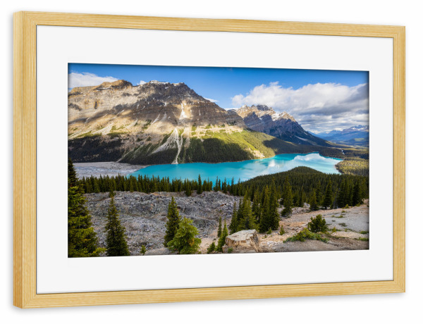 Poster mit Rahmen kiefer "Peyto See in Alberta" artboxONE - Natur,Reise