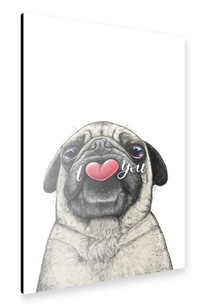 Alu-Dibond "Mops liebt dich" 30x20 cm artboxONE