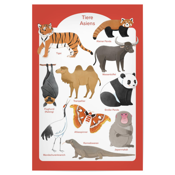 Poster "Tiere Asiens" artboxONE - Für Kinder,Tiere,Reise / Asien